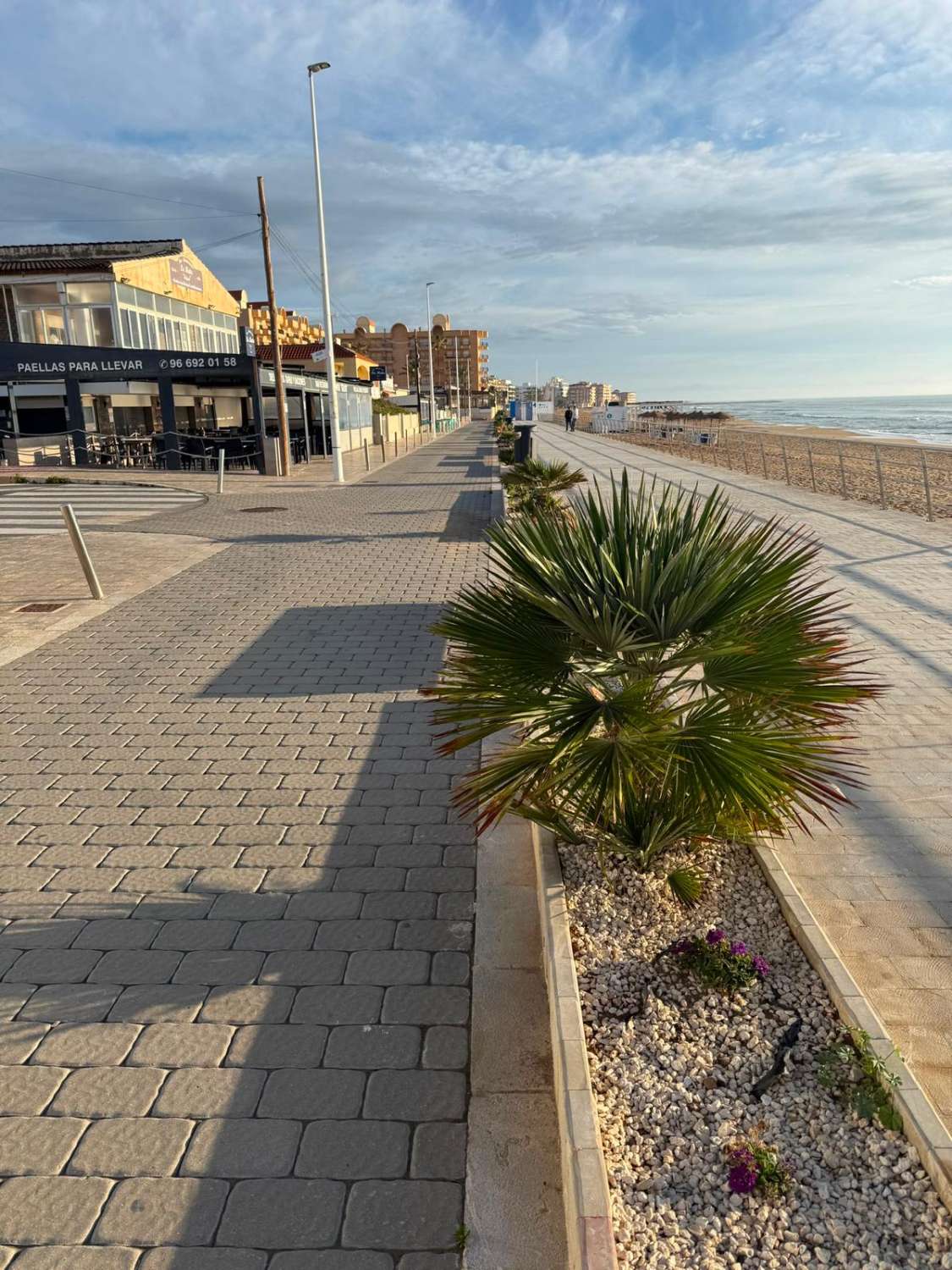 Bartok Beach Studio La Mata – Just 350 m from the Sea
