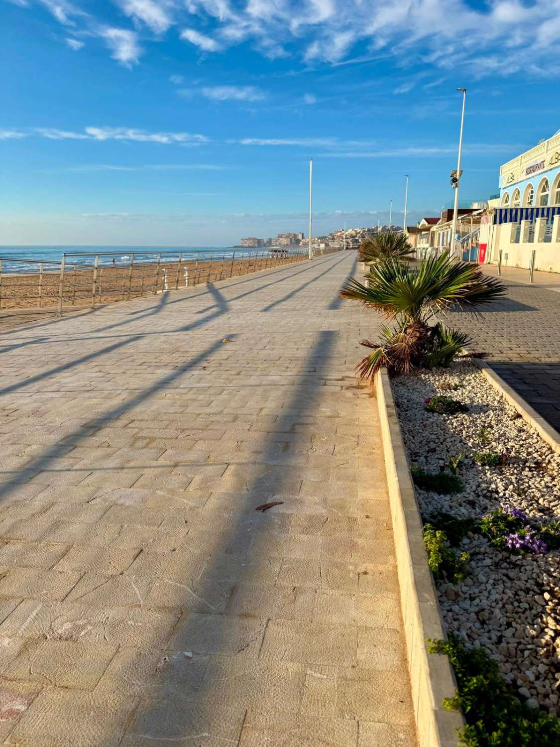 Bartok Beach Studio La Mata – Just 350 m from the Sea