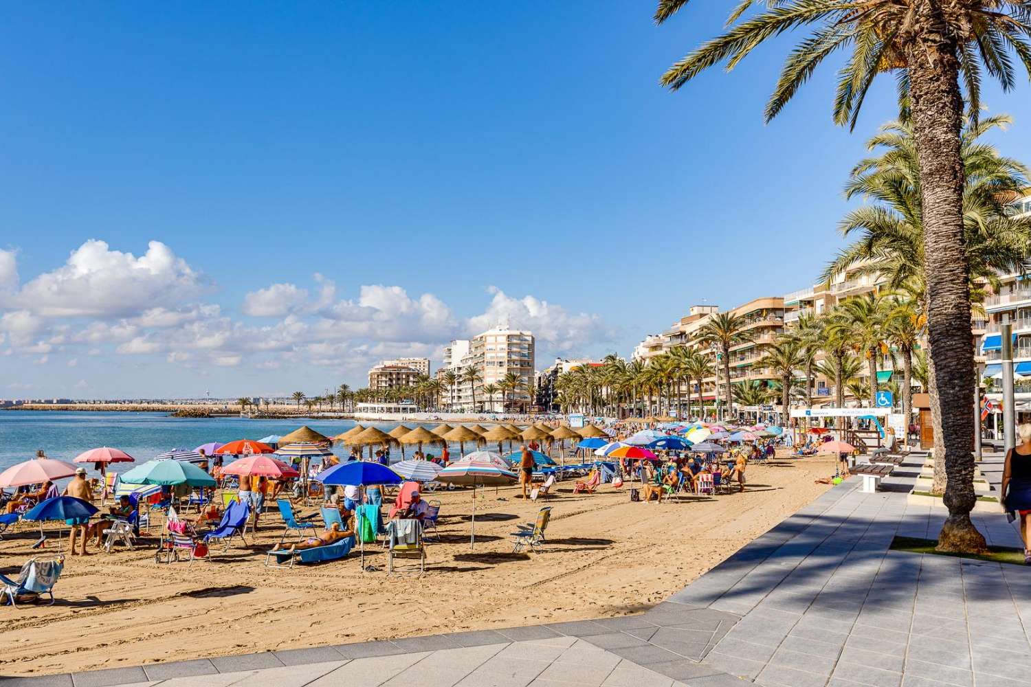 2-BEDROOM APARTMENT WITH SOUTH-FACING ORIENTATION AND TERRACE – AVENIDA DE LAS HABANERAS, TORREVIEJA