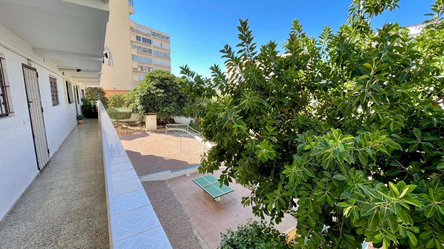 BRIGHT APARTMENT WITH SEA VIEWS FOR LONG-TERM RENT – AVENIDA TORREBLANCA, TORREVIEJA