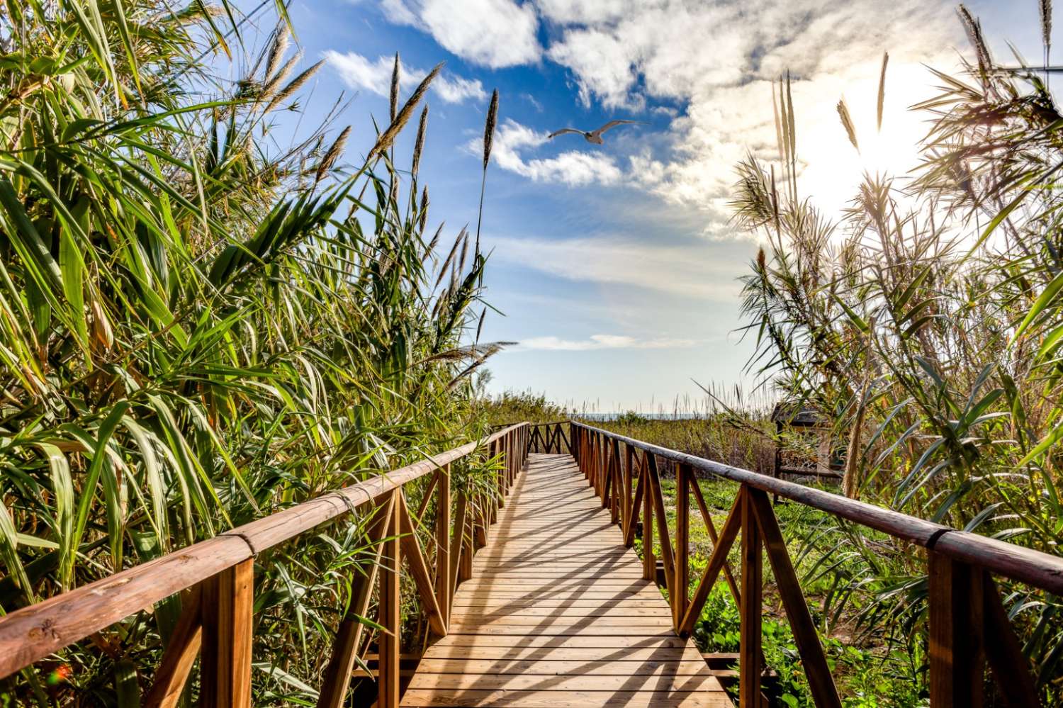 Byt na prodej v La Mata