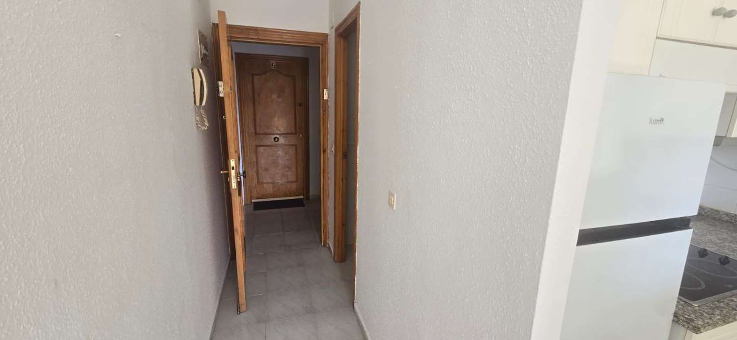 Garsonka v prodeji in La Mata (Torrevieja)