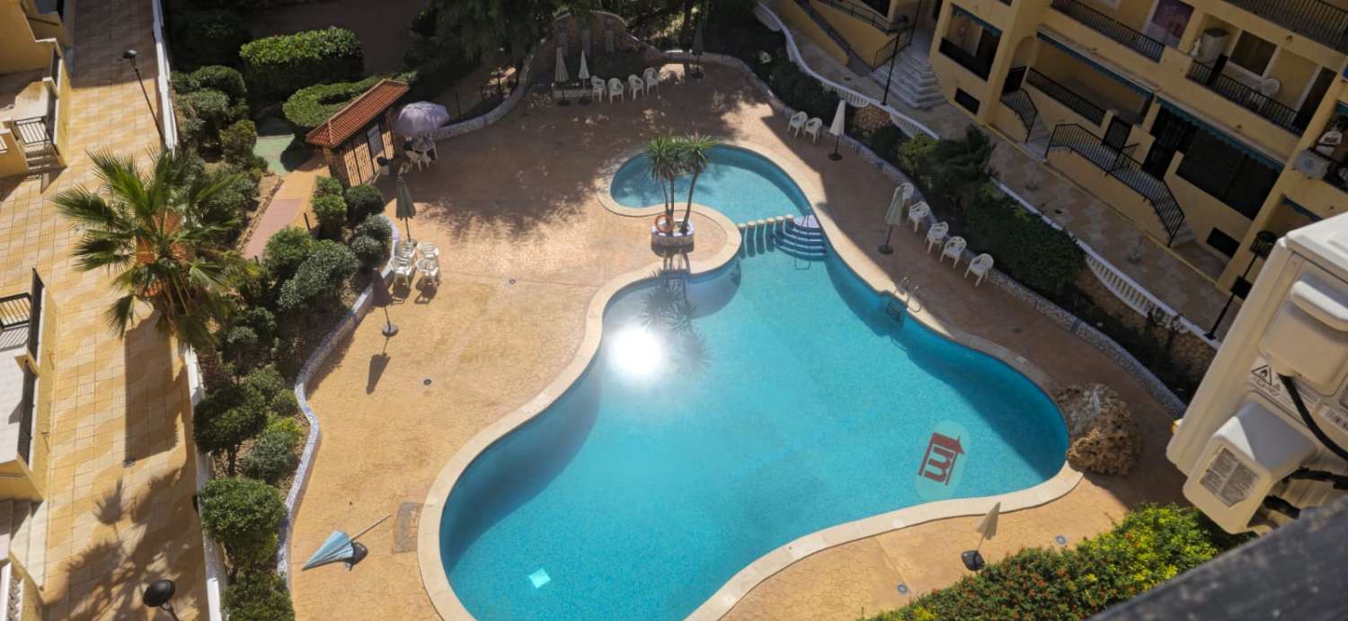 Garsonka v prodeji in La Mata (Torrevieja)