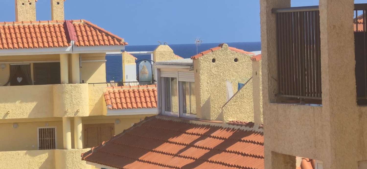 Garsonka v prodeji in La Mata (Torrevieja)