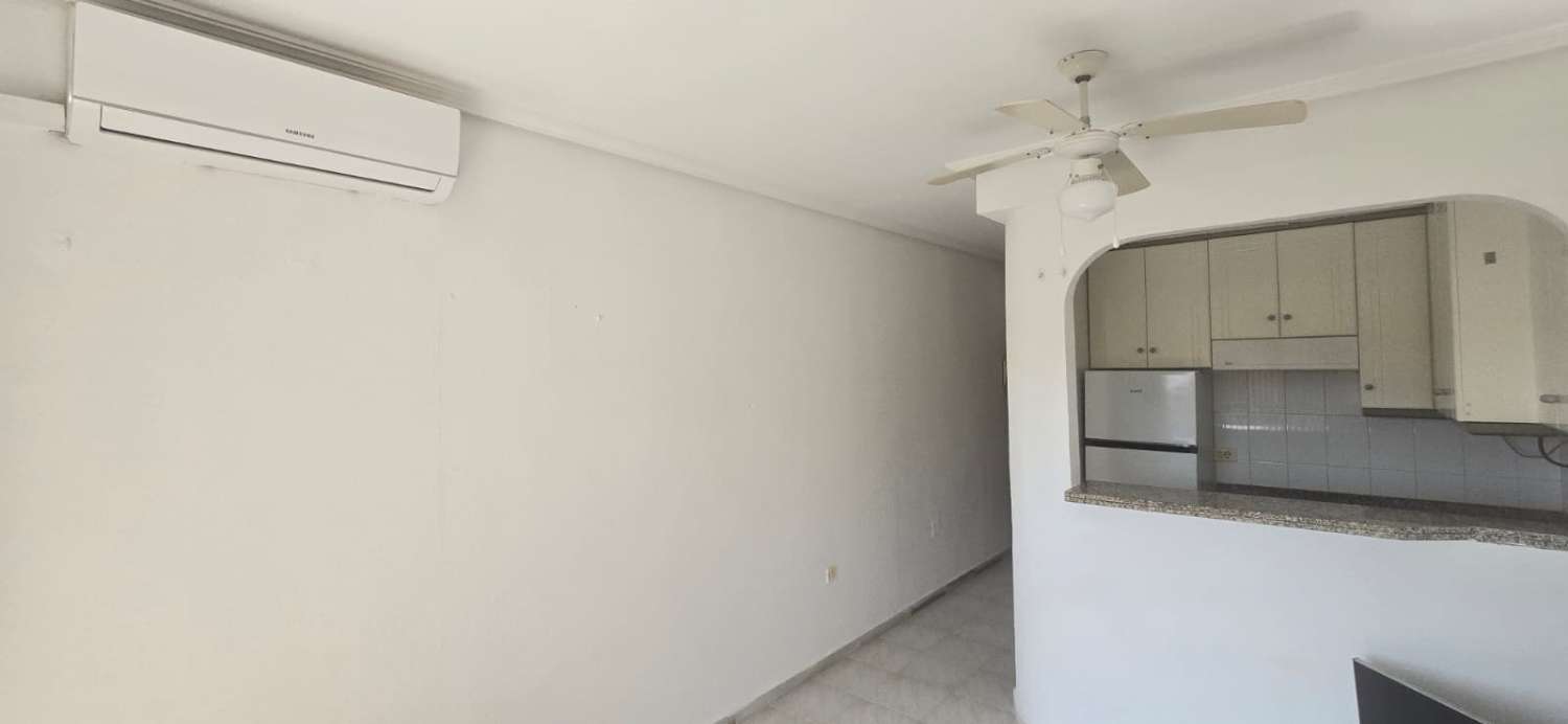 Garsonka v prodeji in La Mata (Torrevieja)