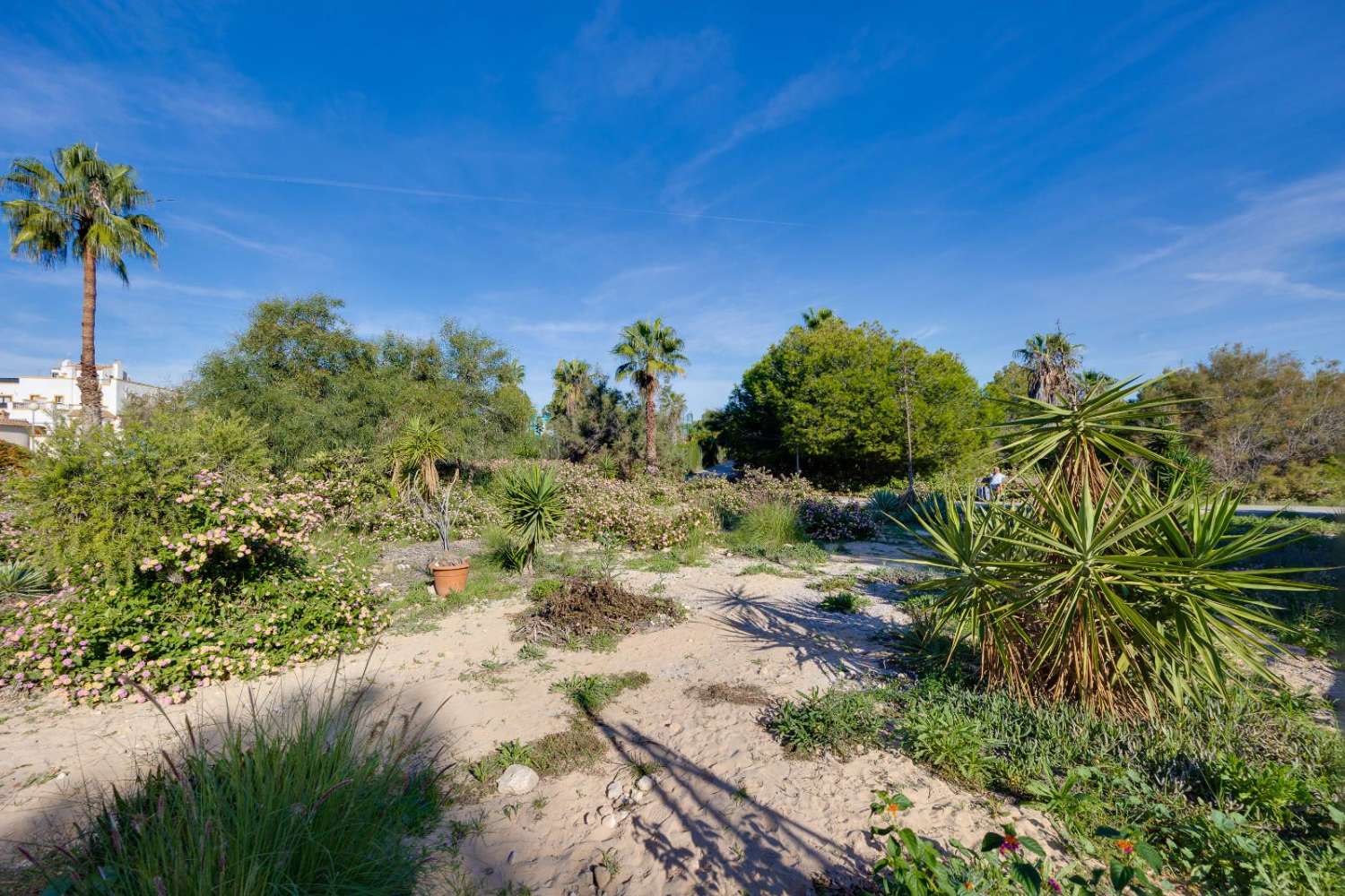 Rodinný dům v prodeji in Los Balcones - Los Altos del Edén (Torrevieja)