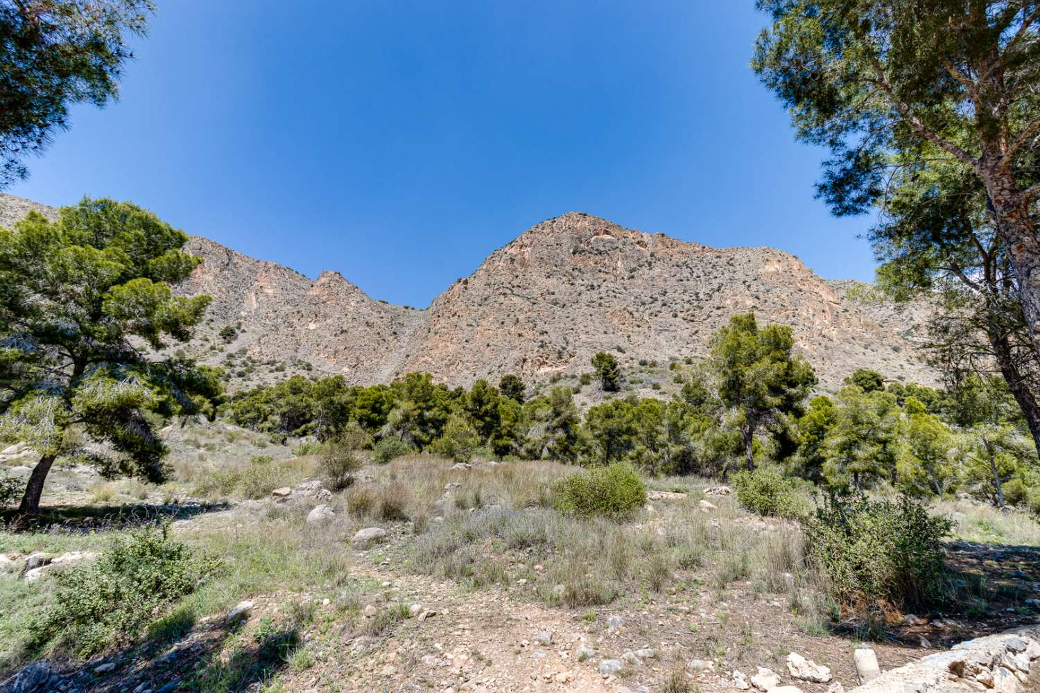 Majestátní sídlo na prodej v Callosa del Segura.