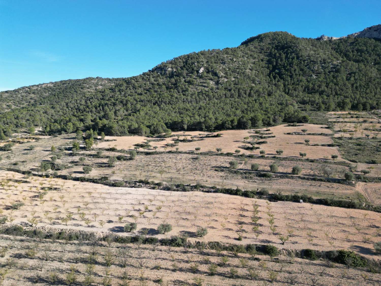 PŘIPRAVENO K NASTĚHOVÁNÍ – Útulná vila plná charakteru s přístavbou pro hosty, bazénem a nádherným výhledem na hory