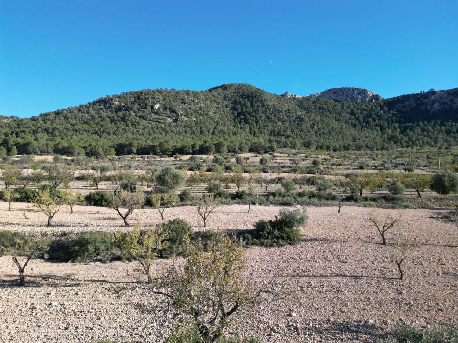 PŘIPRAVENO K NASTĚHOVÁNÍ – Útulná vila plná charakteru s přístavbou pro hosty, bazénem a nádherným výhledem na hory