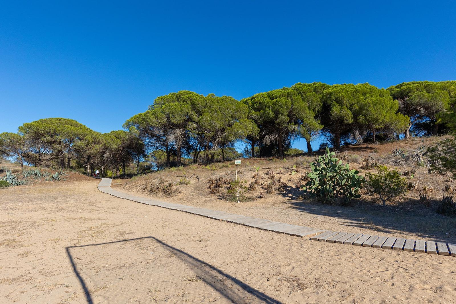 Apartamento en venta en Guardamar del Segura