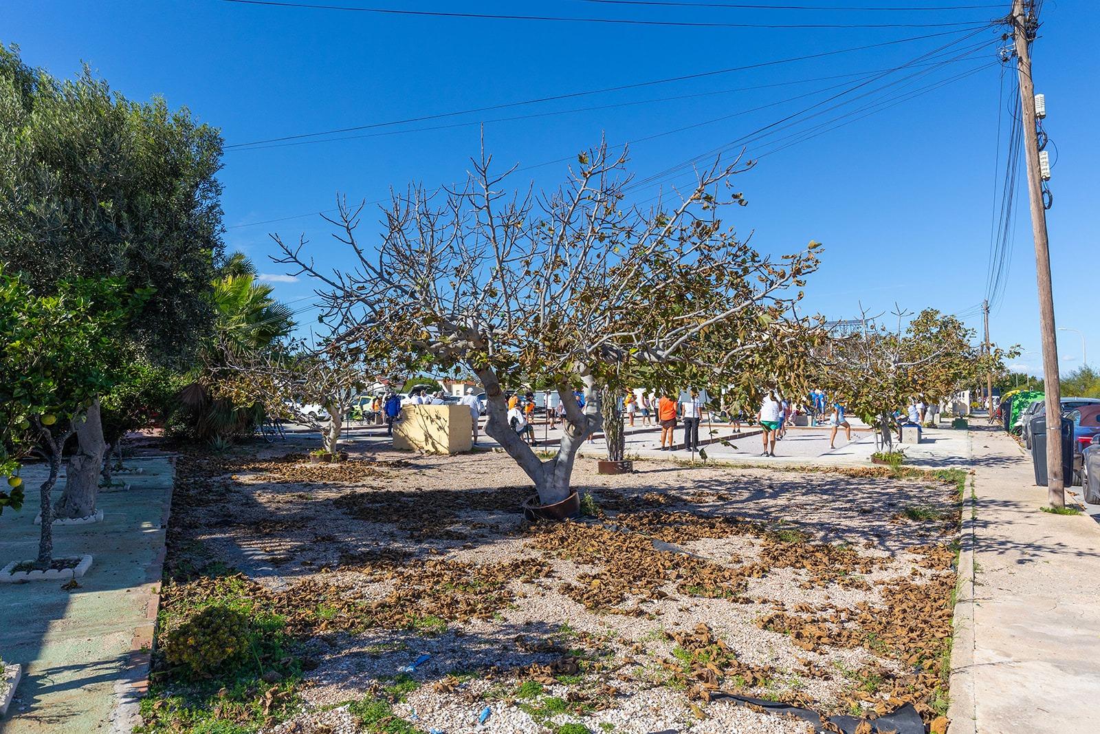Bungalow te koop in Torrevieja