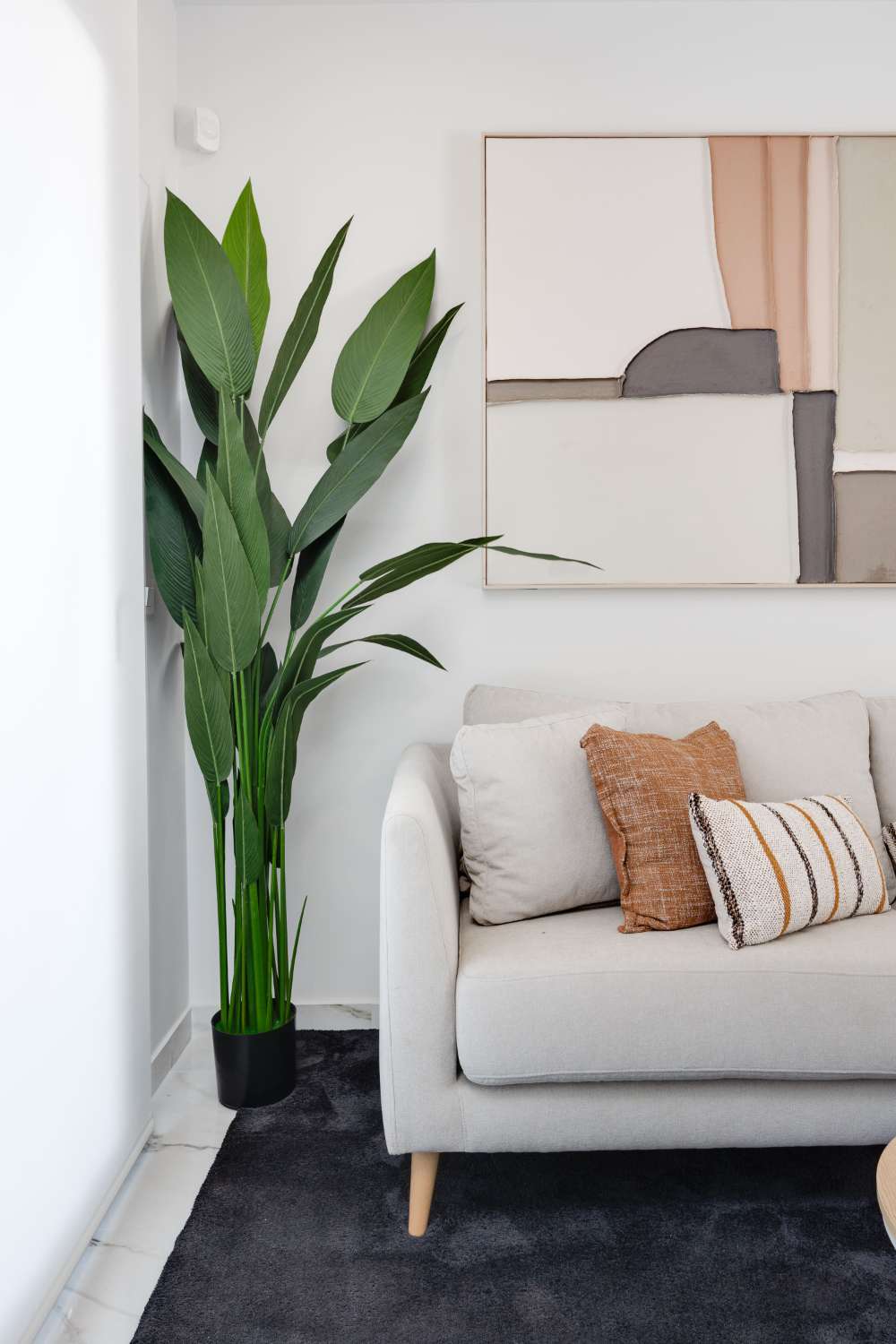 APARTMENTS WITH SPACIOUS TERRACES SAN MIGUEL DE SALINAS