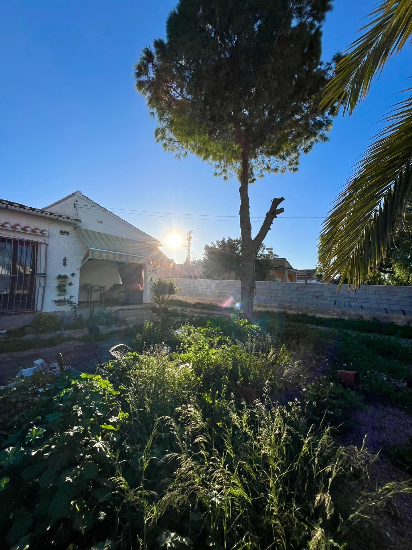 Jedinečná příležitost v Aguas Nuevas – pozemek s velkým potenciálem pro váš vysněný dům