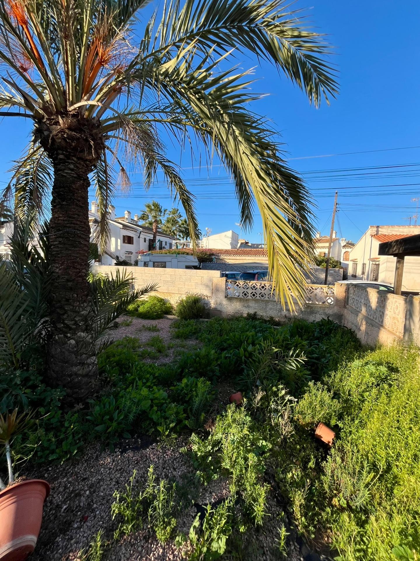 Jedinečná příležitost v Aguas Nuevas – pozemek s velkým potenciálem pro váš vysněný dům