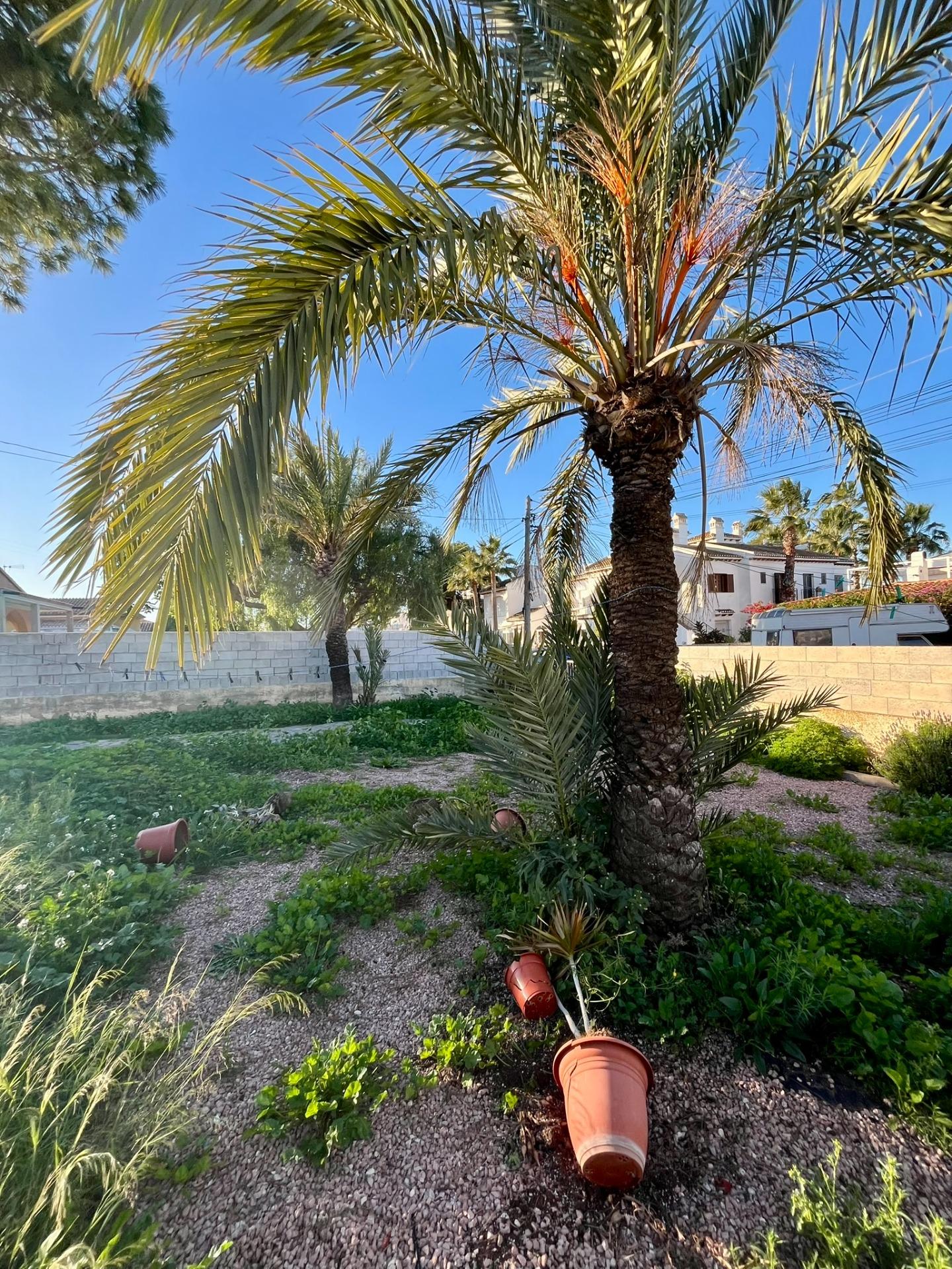 Jedinečná příležitost v Aguas Nuevas – pozemek s velkým potenciálem pro váš vysněný dům