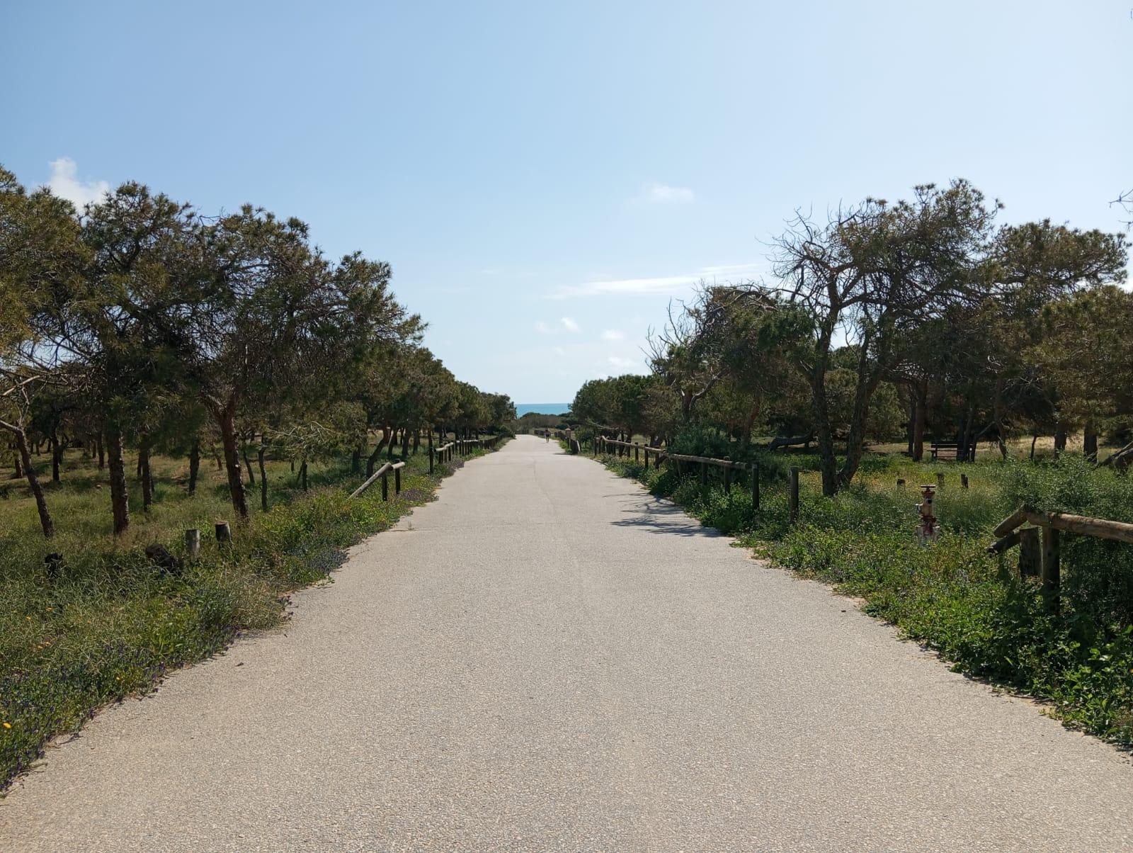 Renovated Ground Floor Bungalow Just 300 m from the Beach – Guardamar del Segura