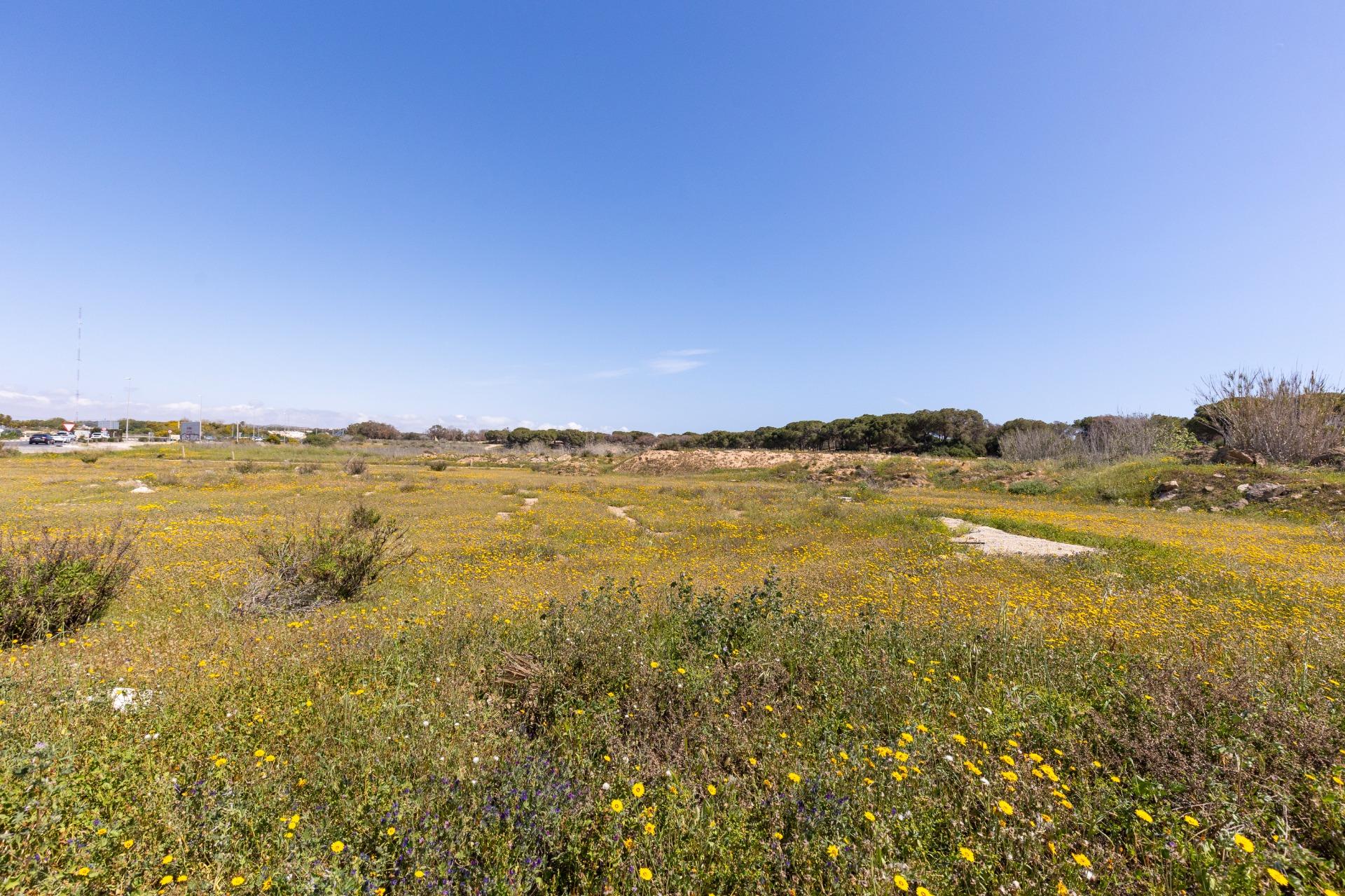 Renovated Ground Floor Bungalow Just 300 m from the Beach – Guardamar del Segura