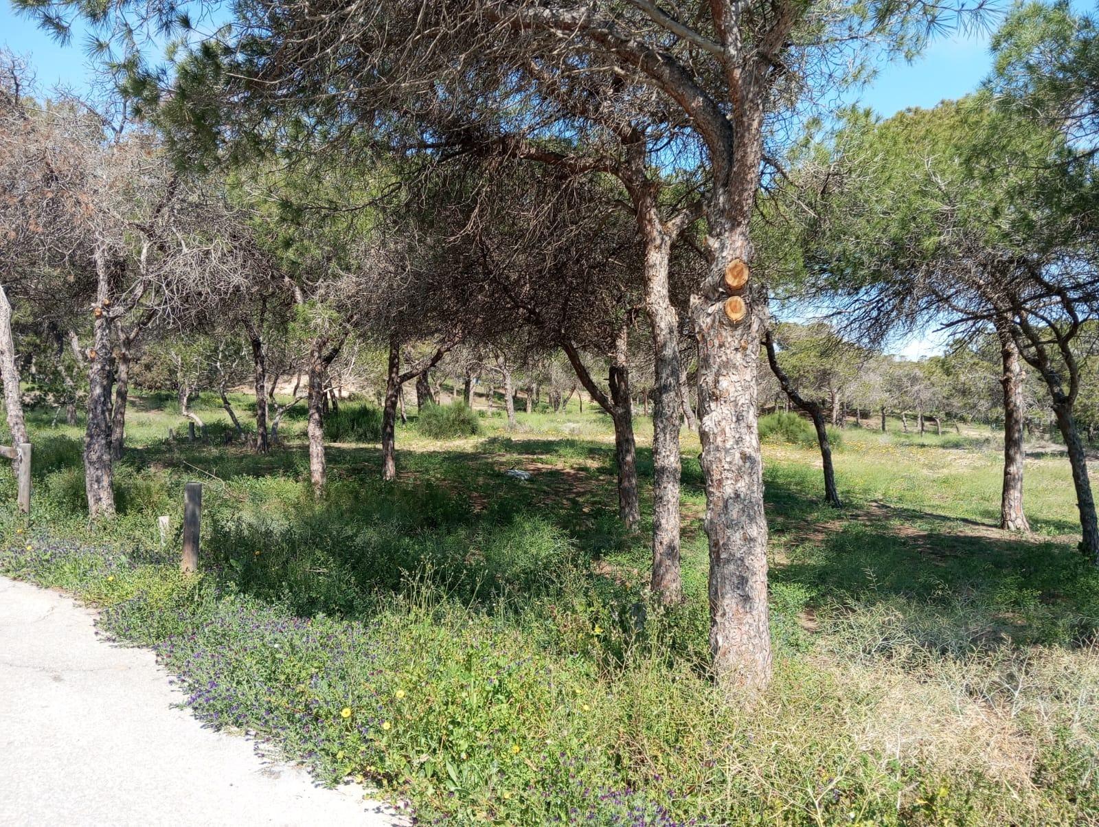 Renovated Ground Floor Bungalow Just 300 m from the Beach – Guardamar del Segura