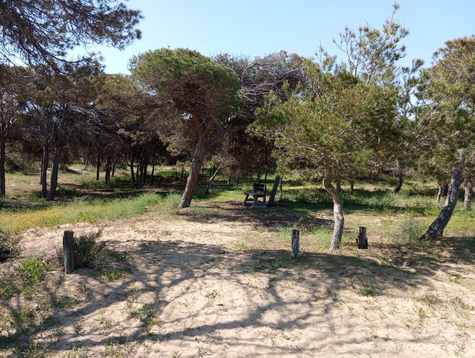 Renovated Ground Floor Bungalow Just 300 m from the Beach – Guardamar del Segura