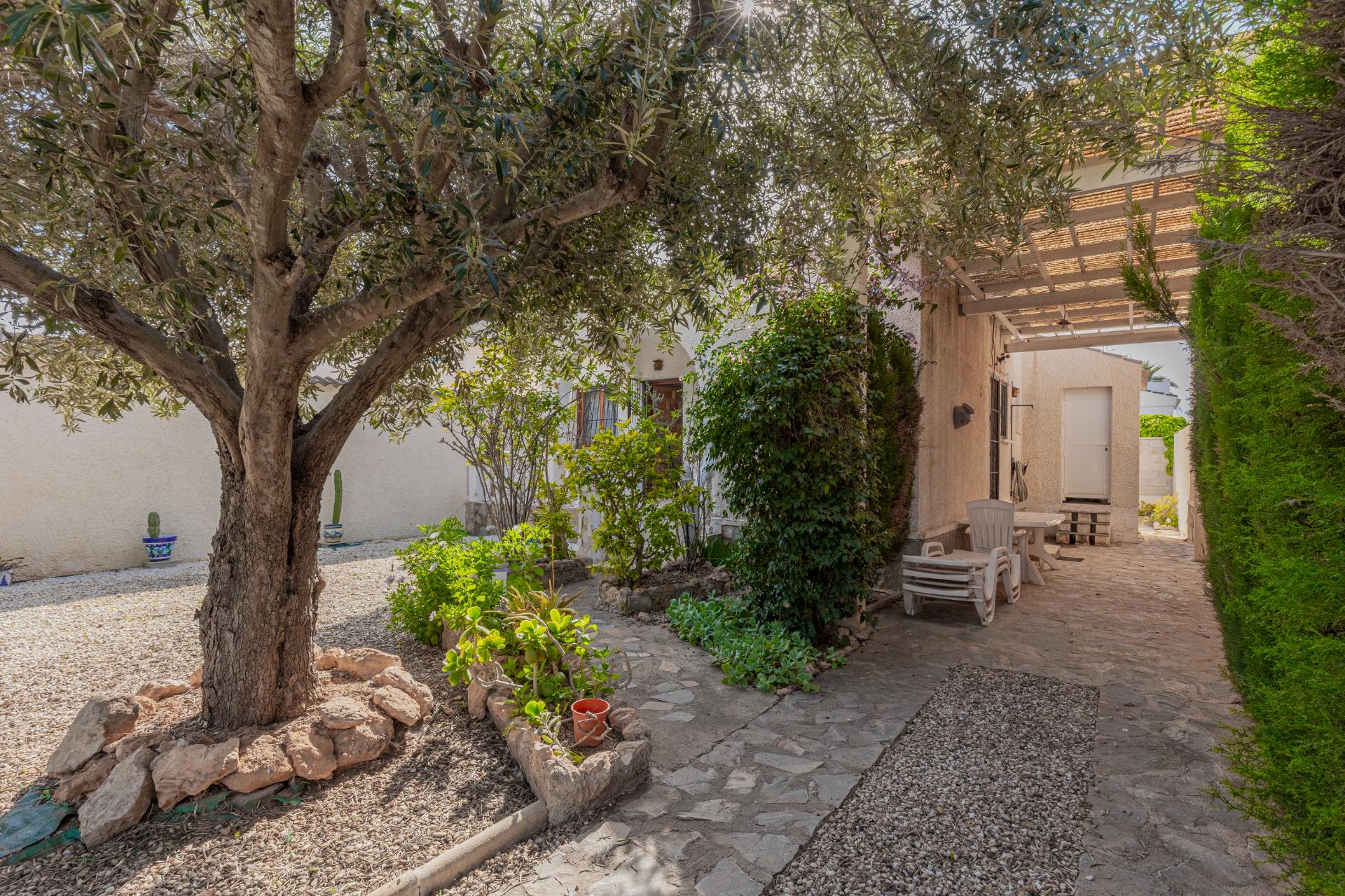 Opportunity: Detached House with Large 317 m² Plot in El Chaparral – La Siesta, Torrevieja