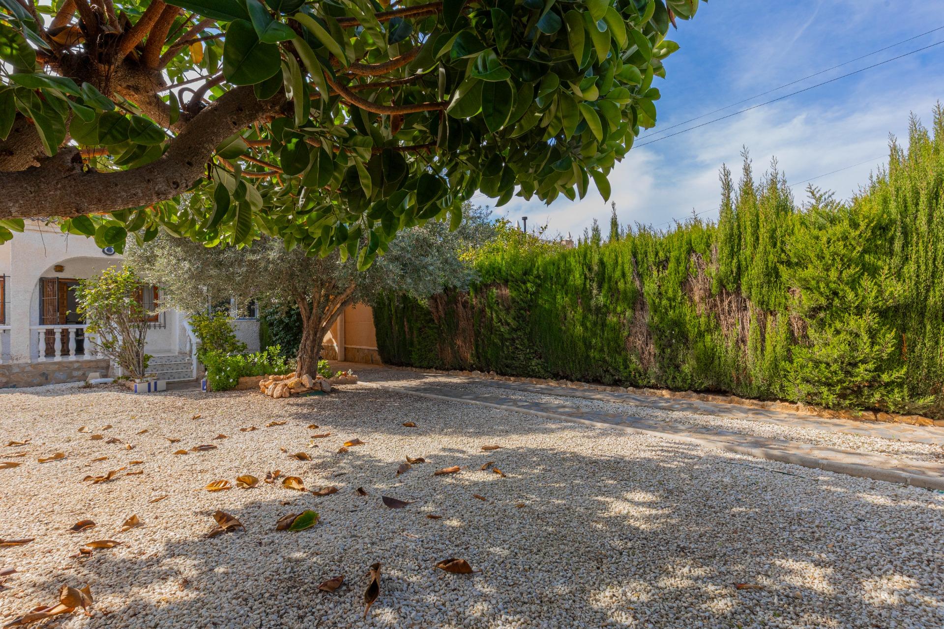 Opportunity: Detached House with Large 317 m² Plot in El Chaparral – La Siesta, Torrevieja