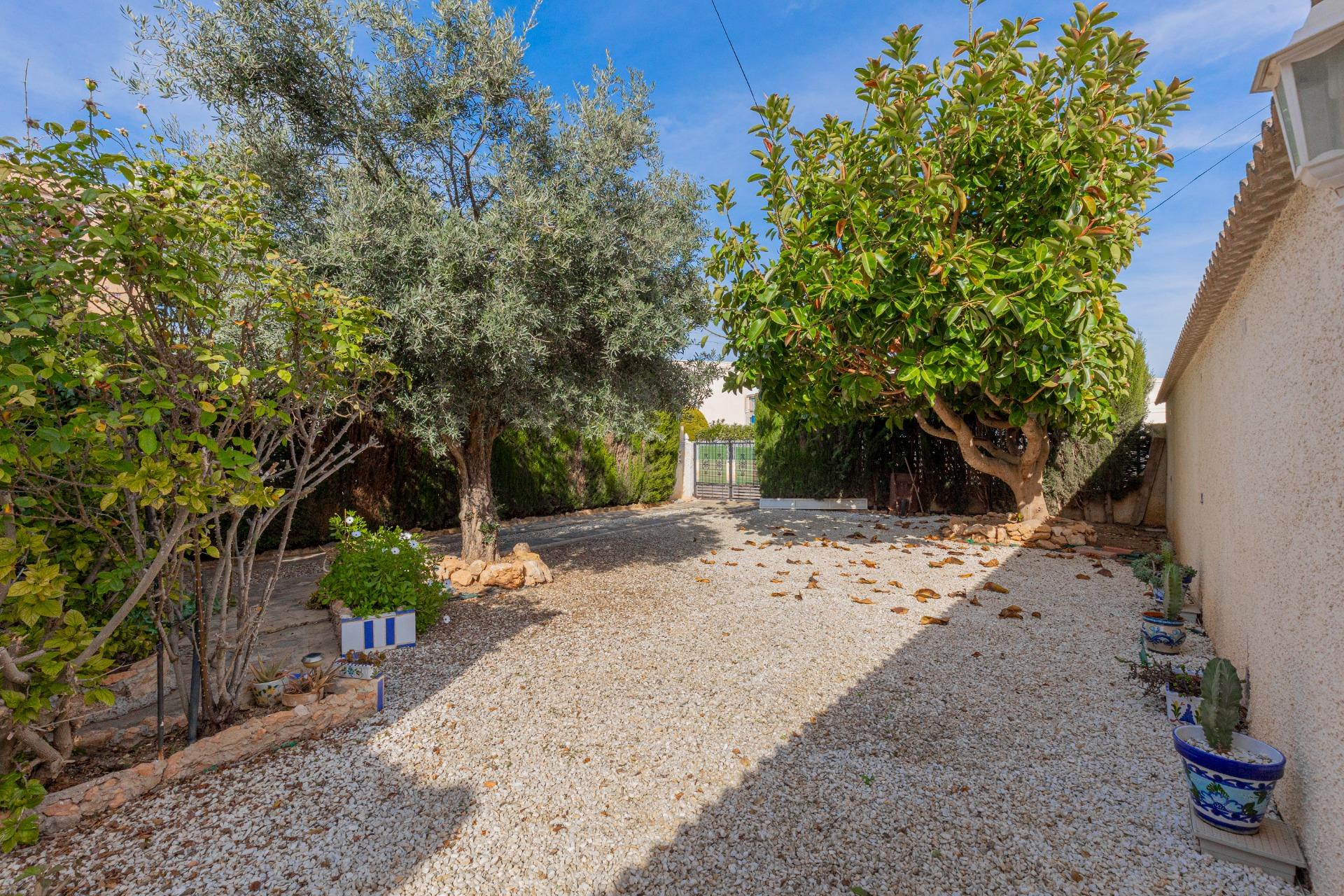 Opportunity: Detached House with Large 317 m² Plot in El Chaparral – La Siesta, Torrevieja