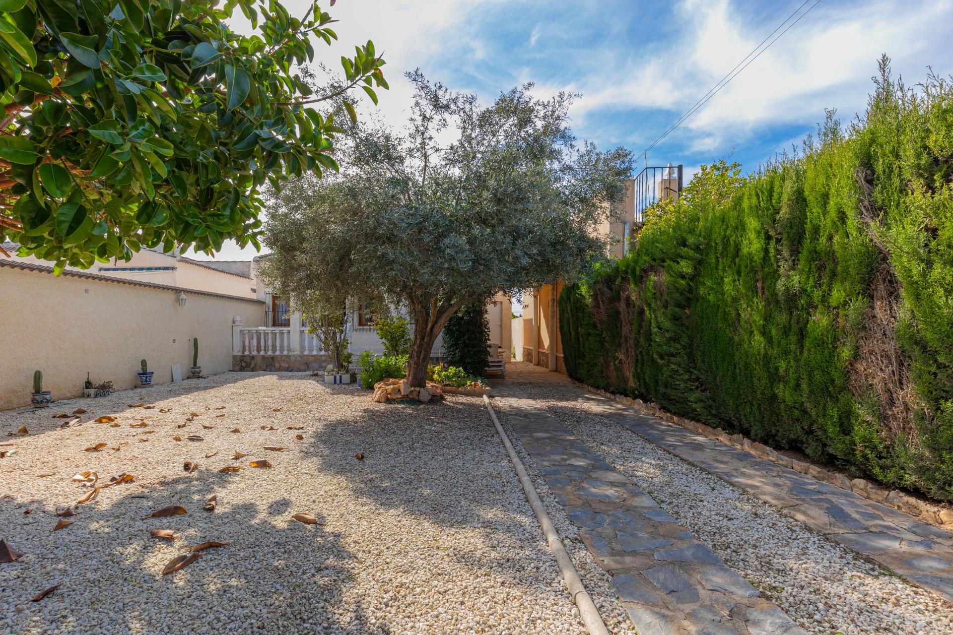 Opportunity: Detached House with Large 317 m² Plot in El Chaparral – La Siesta, Torrevieja