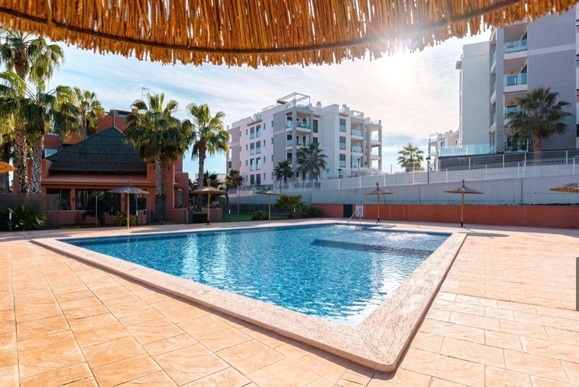 Ground Floor Apartment with Large Terrace – Palapagolf II, Villamartín (Orihuela Costa)