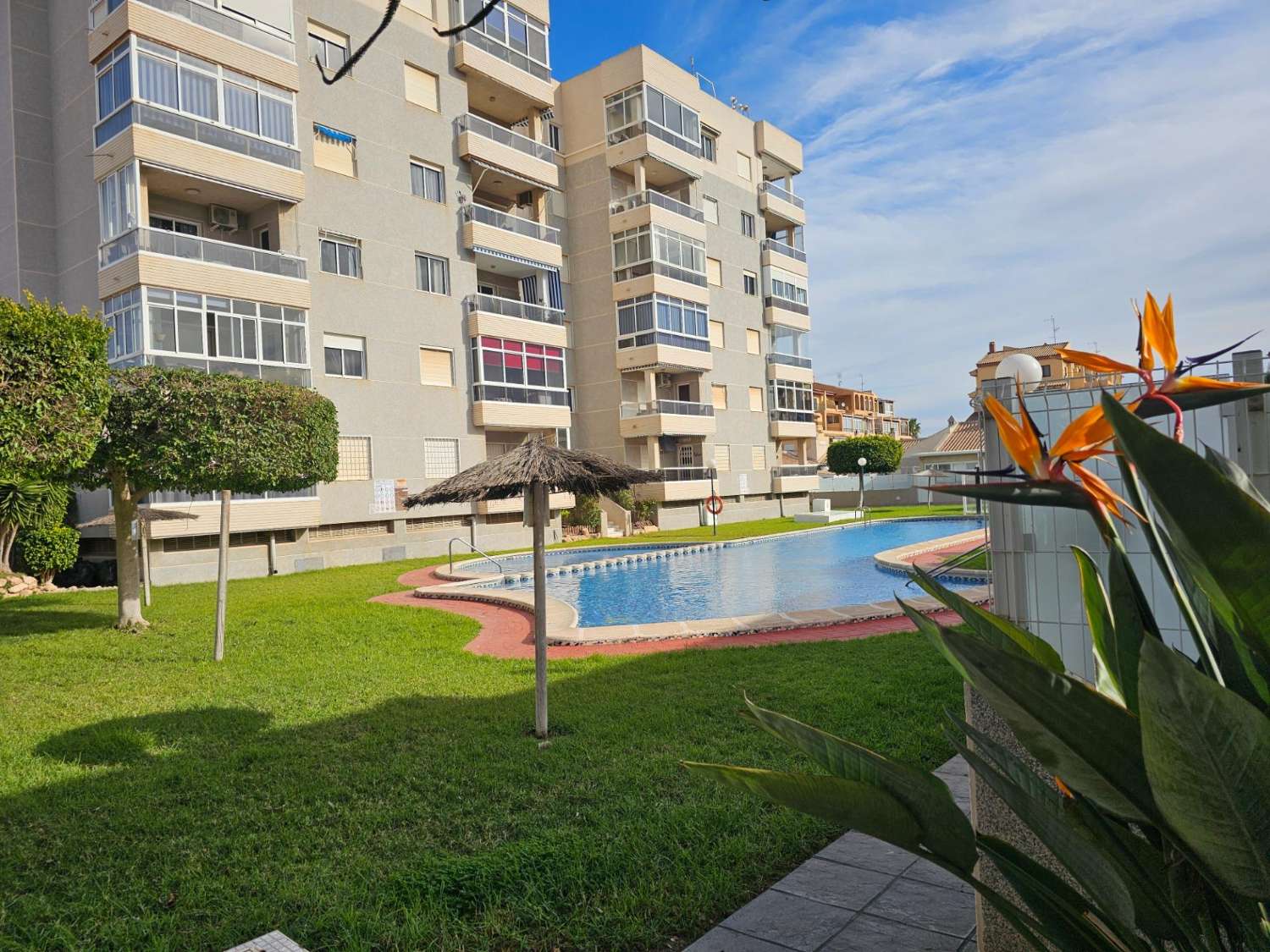 Modern Apartment in Torreblanca, Torrevieja – Ideal Investment Opportunity