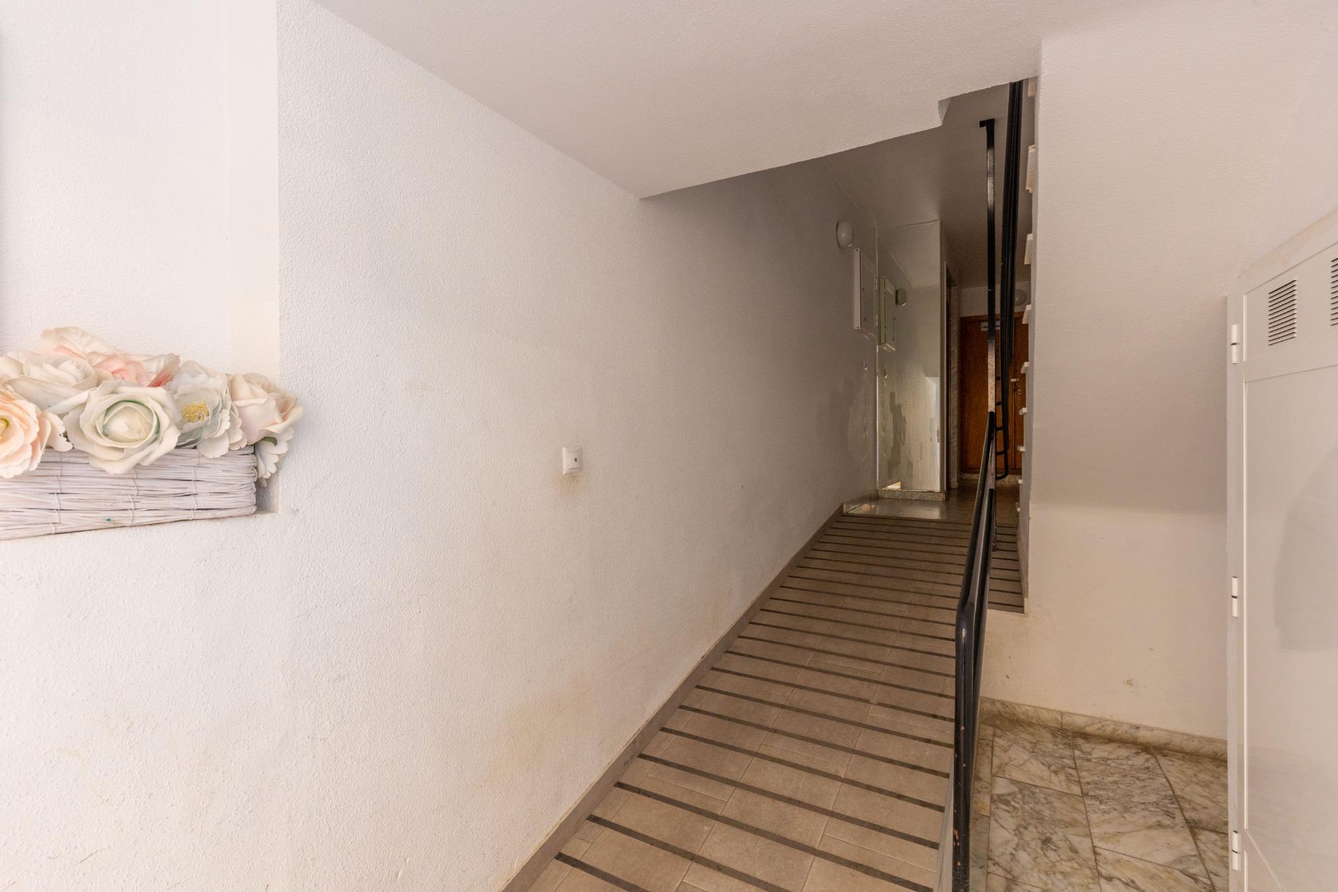 Slunce, výhledy a středomořská atmosféra | Nueva Torrevieja