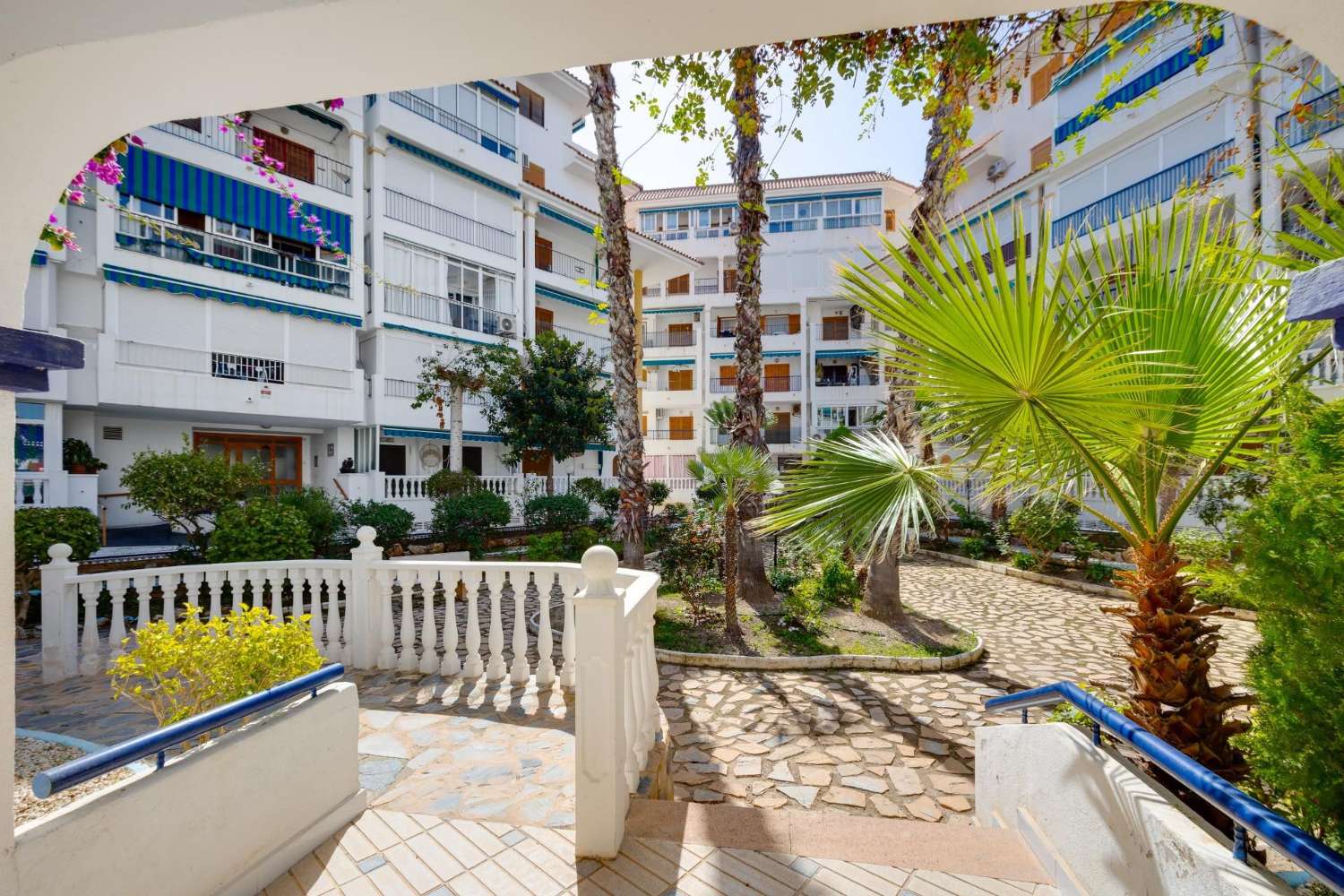 Apartment 250 m from the Beach | La Mata, Torrevieja