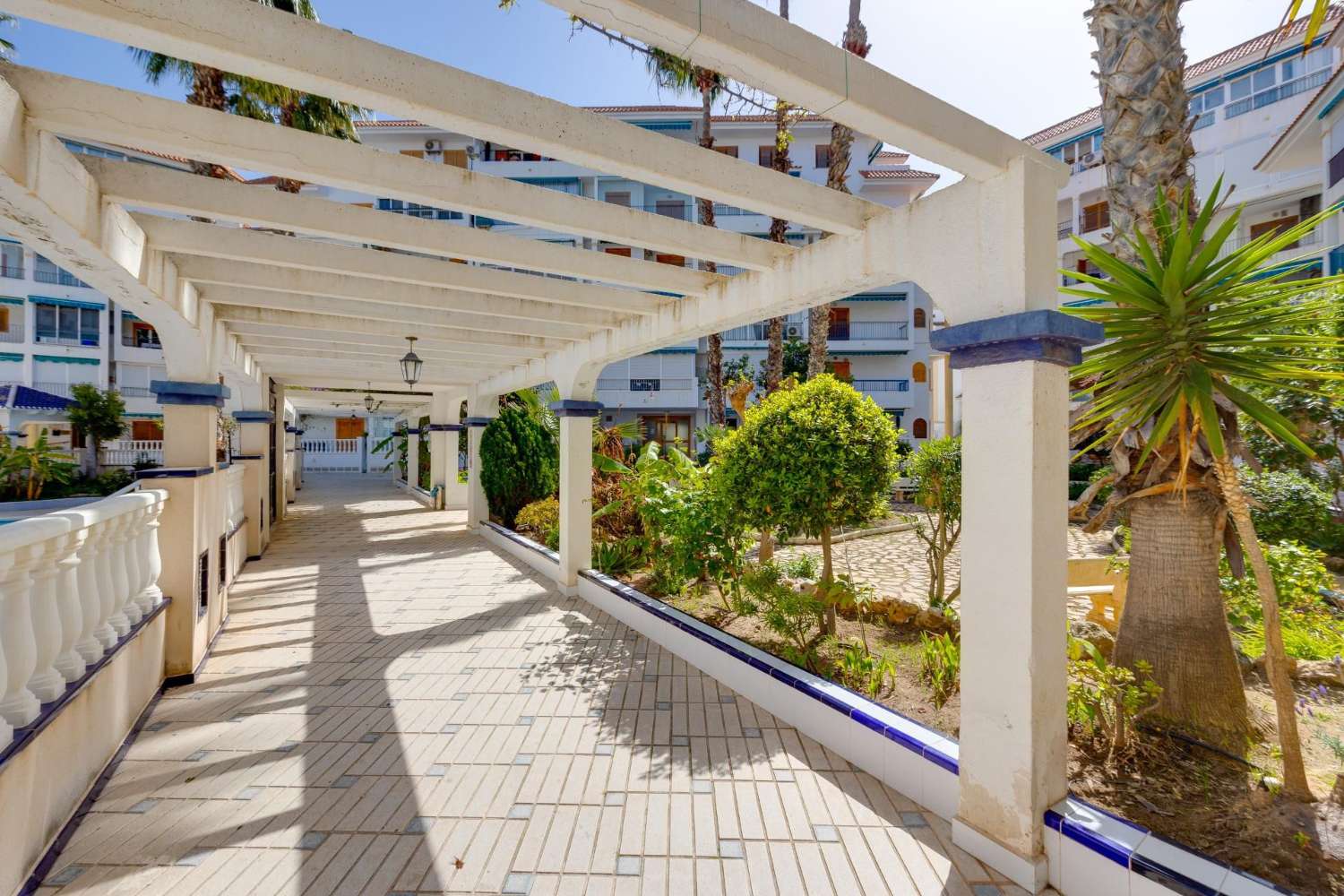Apartment 250 m from the Beach | La Mata, Torrevieja