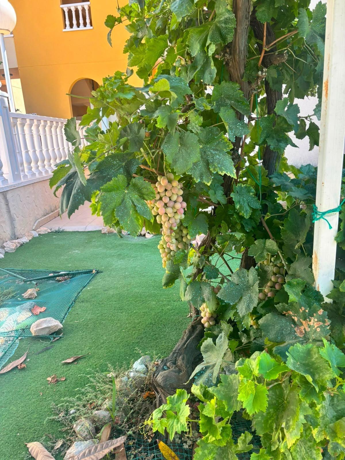 PŘÍZEMNÍ BUNGALOV SE 2 LOŽNICEMI, SOUKROMOU ZAHRADOU A PARKOVÁNÍM